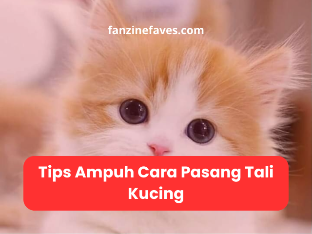 cara pasang tali kucing