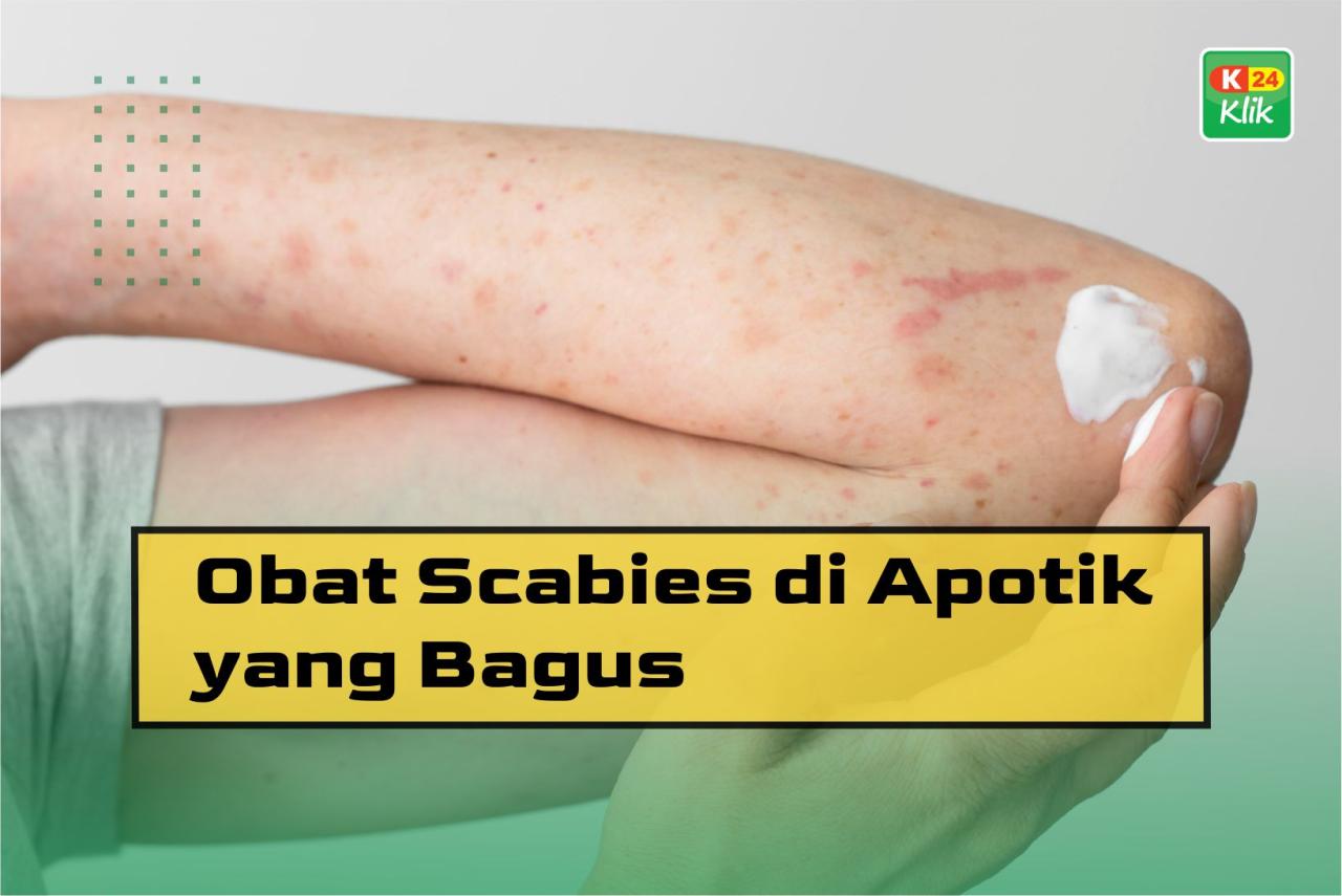 obat scabies kucing di apotik